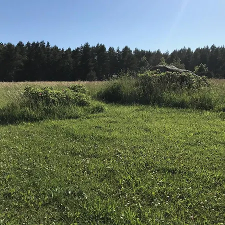 Dom wakacyjny Ojakuela Saunamaja Suurepsi