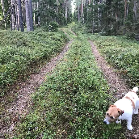 Ojakuela Saunamaja *